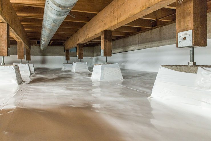 How to Resolve Crawl Space Problems: 5 Top Ways?