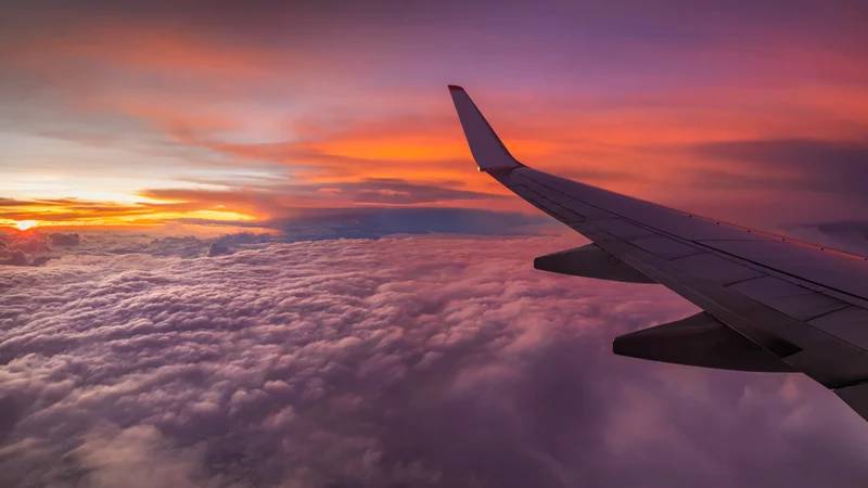 You would now be able to look for flights on Google dependent on  carbon emissions