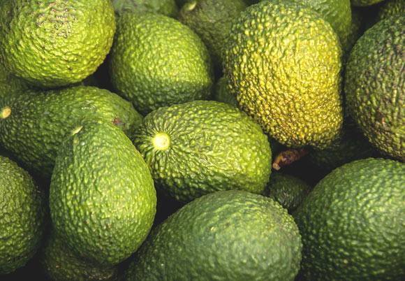 Study: High Avocado intake improves family-level nutritional status