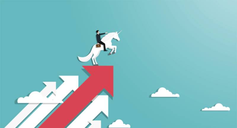 How sustainable are Indian unicorns’ in business models?