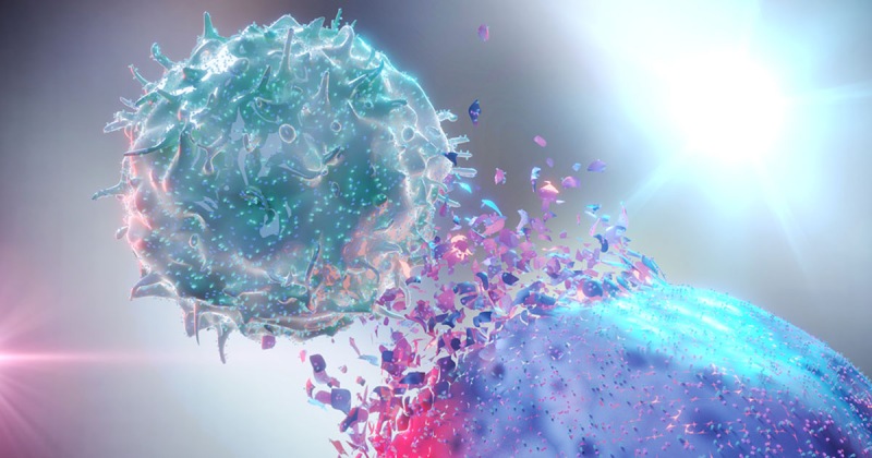 Immune Diseases Can Be Treated With Modifications To Risky Cancer Treatments