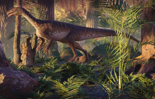 Missing Link Found: New Studies Explain How Giant Dinosaurs Came To Be