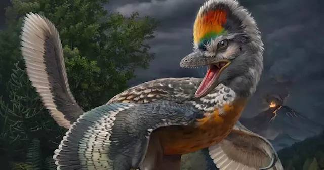 Paleontologists Find A Strange New Species Of Dinosaur That Resembles Birds In Order To Bridge The Evolutionary Gap