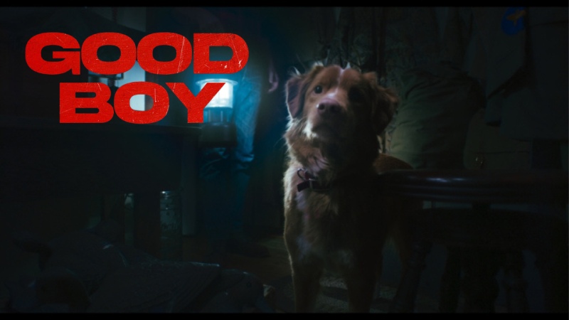 Good Boy