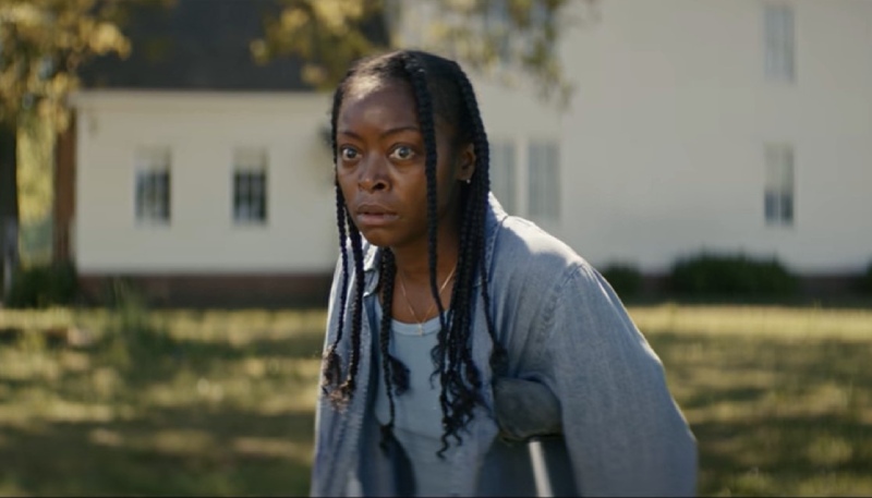 The Woman In The Yard
