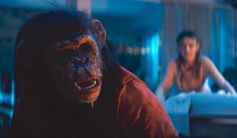 Primate movie